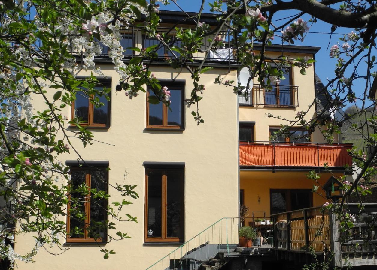 Ferienwohnung Ellebett Mueden Exterior photo